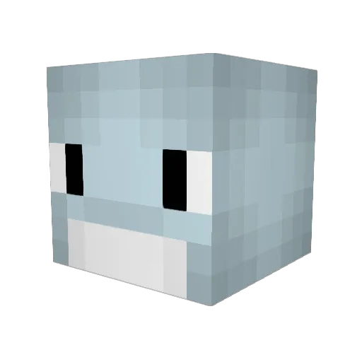 jaana1005 Minecraft avatar head, 3D render