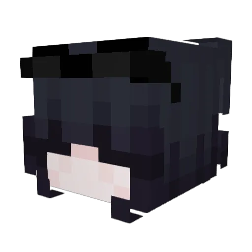 jabbadude9 Minecraft avatar head, 3D render