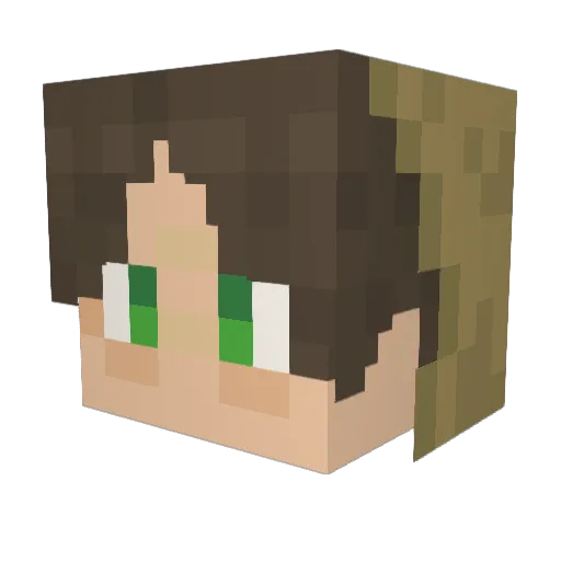 jabuticaba150 Minecraft avatar head, 3D render
