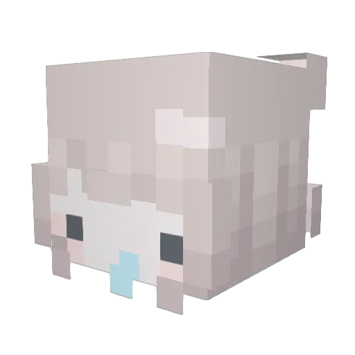 jacZ_sparrow Minecraft avatar head, 3D render