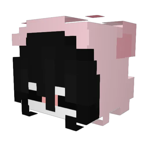 jacie12 Minecraft avatar head, 3D render