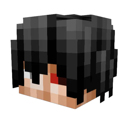 jack2206 Minecraft avatar head, 3D render