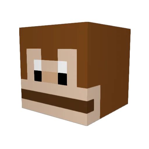 jack_hunner11 Minecraft avatar head, 3D render