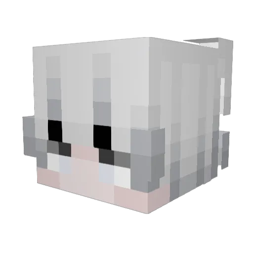 jack_macaroni Minecraft avatar head, 3D render