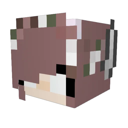 jackallan Minecraft avatar head, 3D render