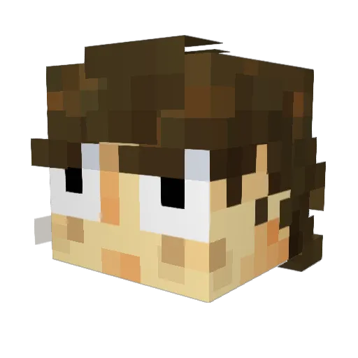 jackalocked Minecraft avatar head, 3D render