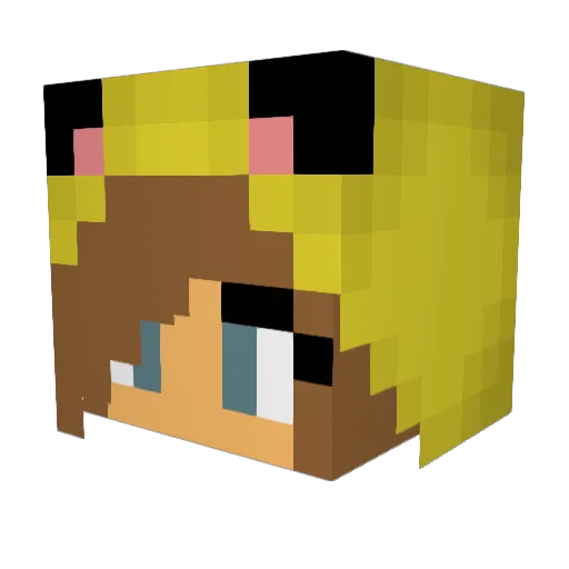 jackashton45 Minecraft avatar head, 3D render