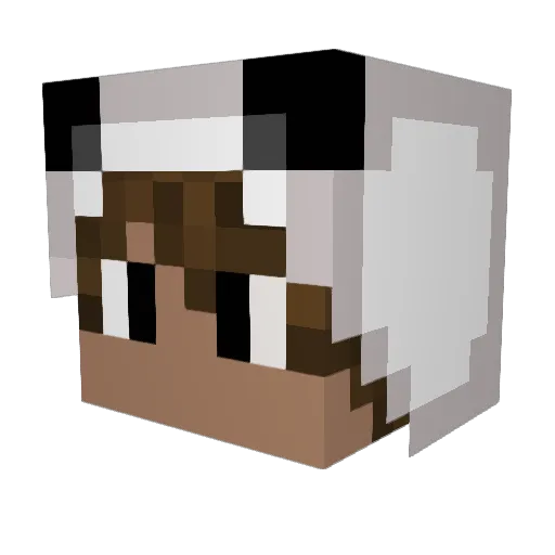 jackeroficial Minecraft avatar head, 3D render