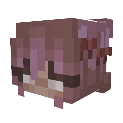 jacketpotatoxx Minecraft avatar head, 3D render