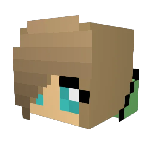 jacketsblue_09 Minecraft avatar head, 3D render