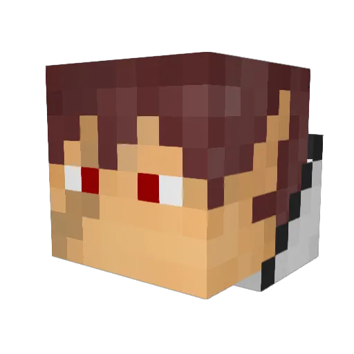 jackh1350 Minecraft avatar head, 3D render