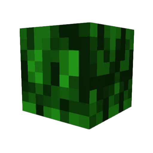 jackieRUN Minecraft avatar head, 3D render