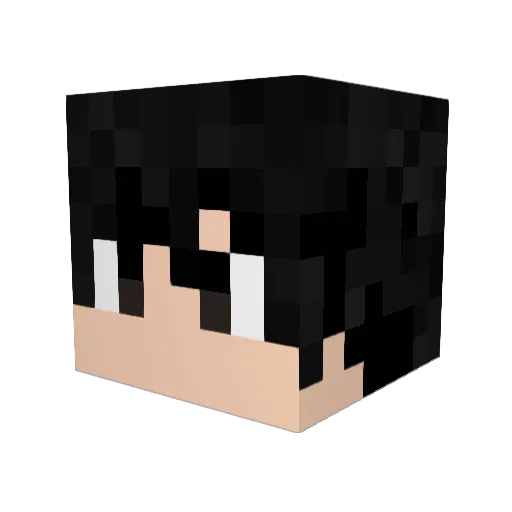 jackingthebox123 Minecraft avatar head, 3D render