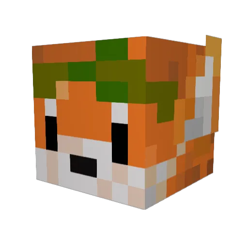 jackos121 Minecraft avatar head, 3D render
