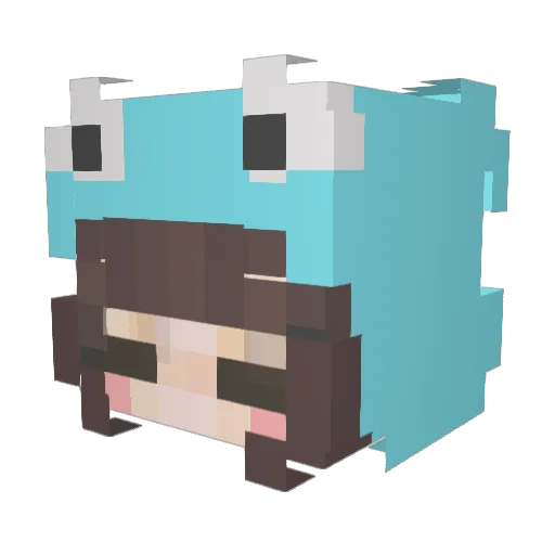jackpotentry Minecraft avatar head, 3D render