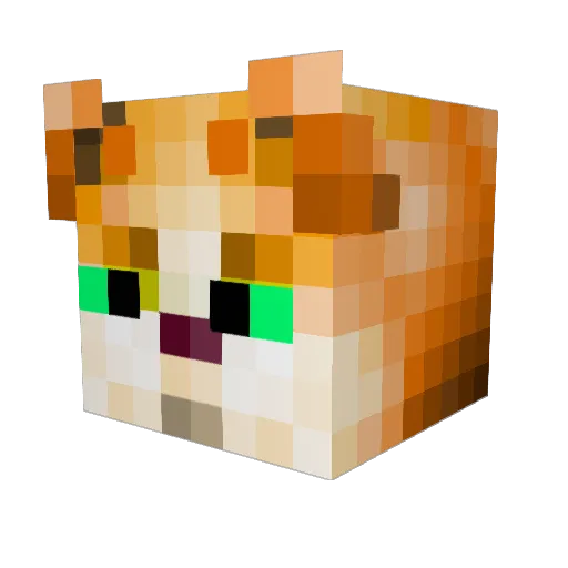jackpuss123 Minecraft avatar head, 3D render