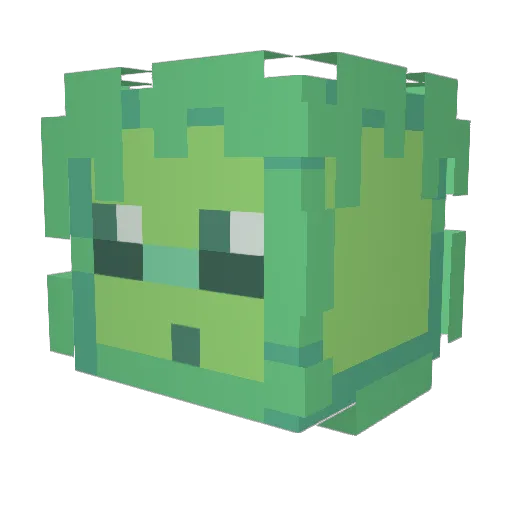 jackpwns Minecraft avatar head, 3D render