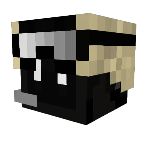 jackryanXD Minecraft avatar head, 3D render