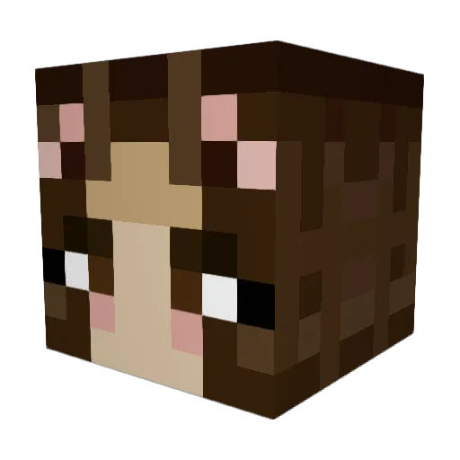 jacks2267 Minecraft avatar head, 3D render