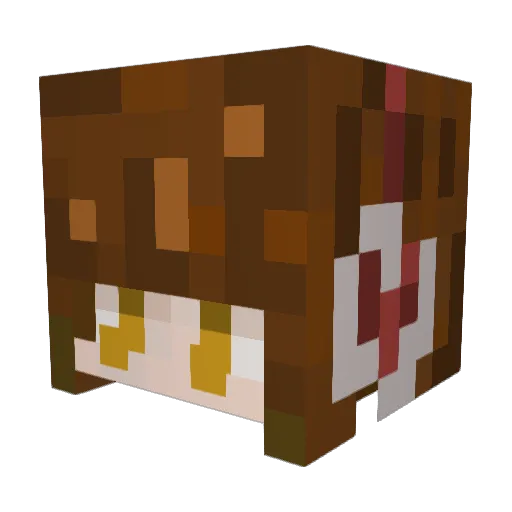 jackula3 Minecraft avatar head, 3D render