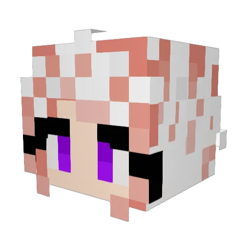 jackxnothome Minecraft avatar head, 3D render