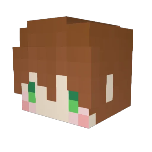 jacky3wolf Minecraft avatar head, 3D render