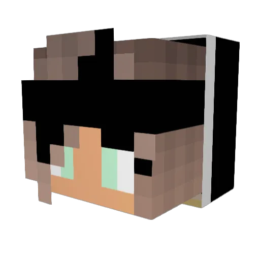 jackym1213 Minecraft avatar head, 3D render