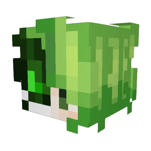 jacob5437 Minecraft avatar head, 3D render