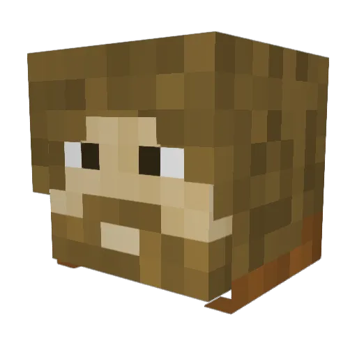 jacob9675 Minecraft avatar head, 3D render
