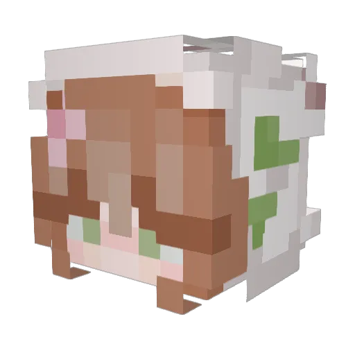 jacoba007 Minecraft avatar head, 3D render