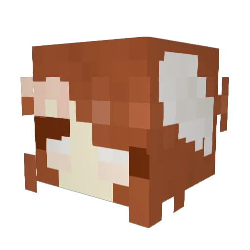 jacobgault Minecraft avatar head, 3D render