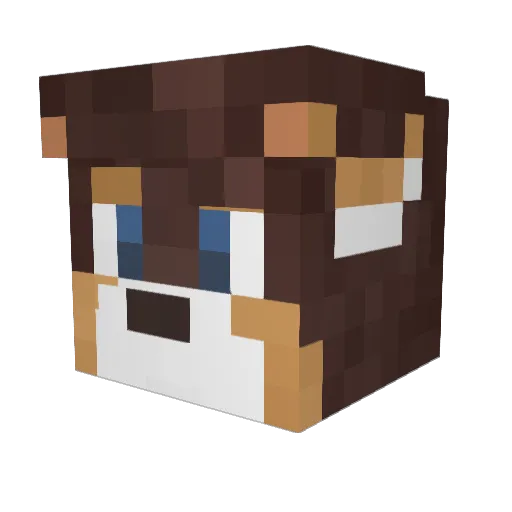 jacobimpo Minecraft avatar head, 3D render
