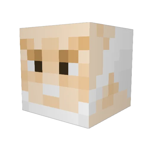 jacoblo Minecraft avatar head, 3D render