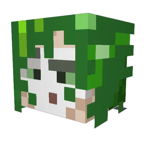 jadeLoTuZ Minecraft avatar head, 3D render