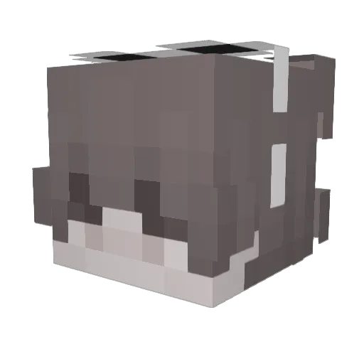 jadeloy_ Minecraft avatar head, 3D render