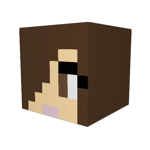 jadensmith2411 Minecraft avatar head, 3D render