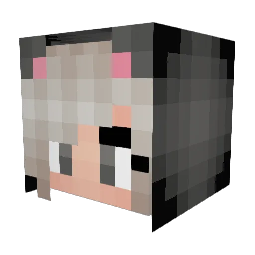 jaderockin37 Minecraft avatar head, 3D render