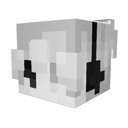 jadonplays4040 Minecraft avatar head, 3D render