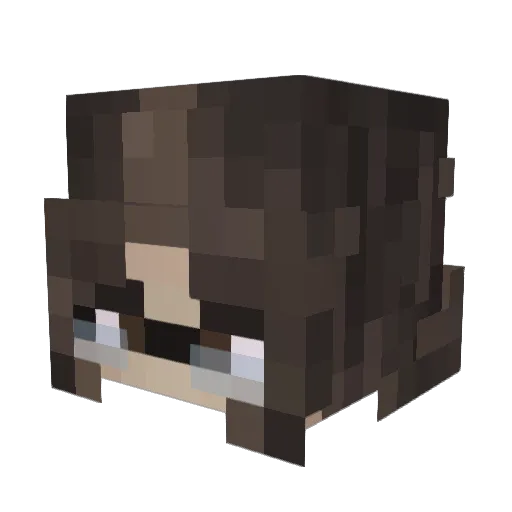 jadoudidou_xD Minecraft avatar head, 3D render