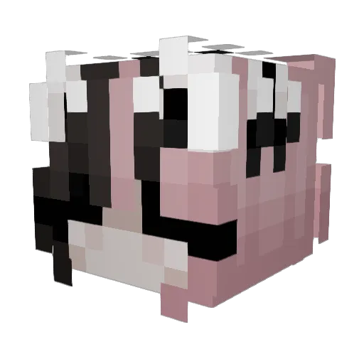 jadouuuuu Minecraft avatar head, 3D render