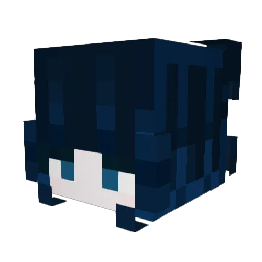 jadwi Minecraft avatar head, 3D render
