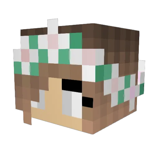 jadynlady Minecraft avatar head, 3D render