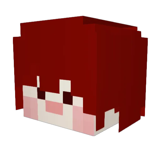 jaebok2 Minecraft avatar head, 3D render