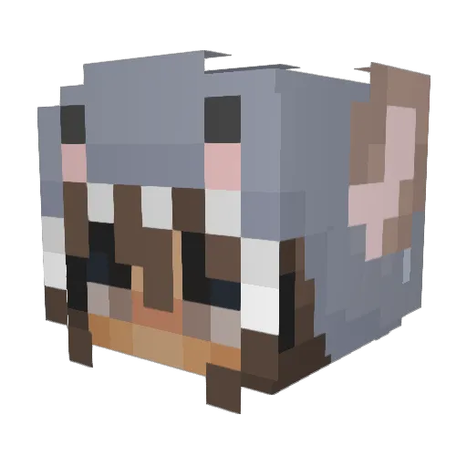 jaedyn_h1013 Minecraft avatar head, 3D render