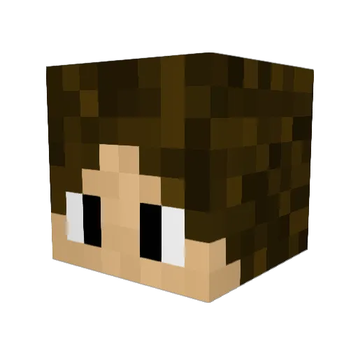 jaejae04 Minecraft avatar head, 3D render