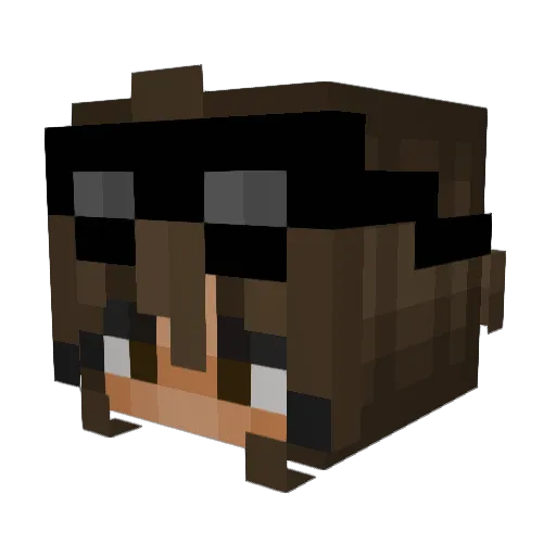 jaelynada Minecraft avatar head, 3D render