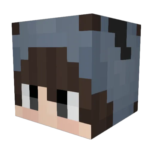 jaerry0826 Minecraft avatar head, 3D render