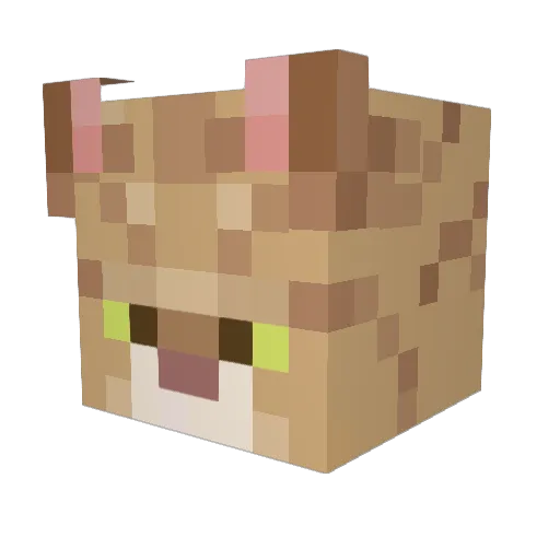 jaes000n Minecraft avatar head, 3D render