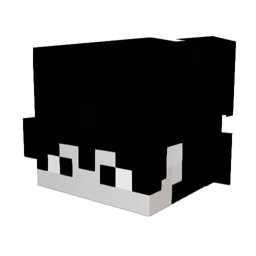 jaesonlovesher Minecraft avatar head, 3D render