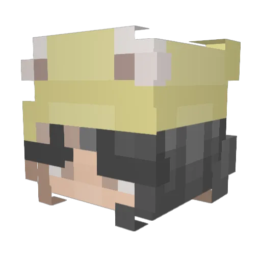 jaetwice Minecraft avatar head, 3D render